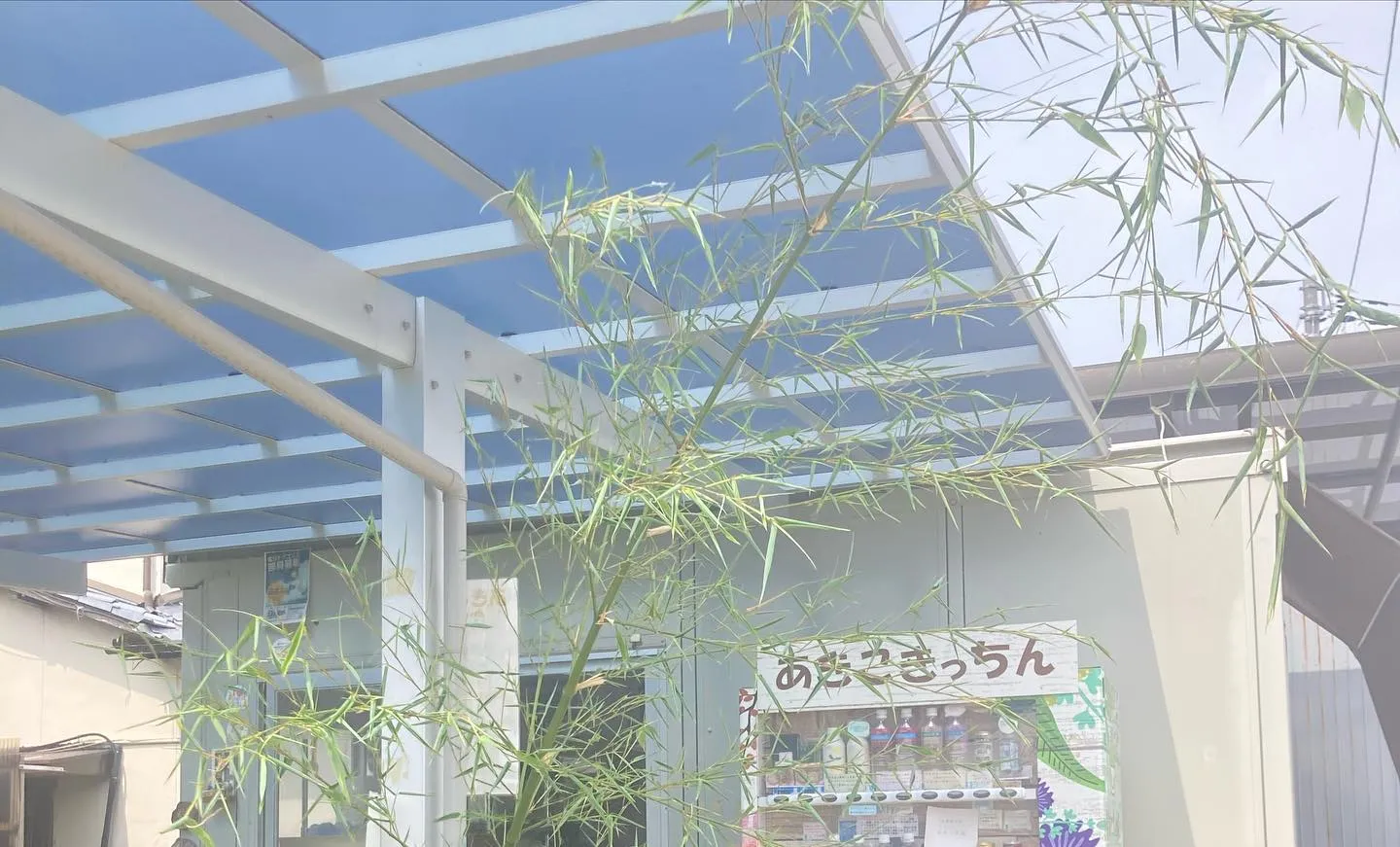 #七夕めぐりプロジェクト  #七夕めぐり　#善通寺　