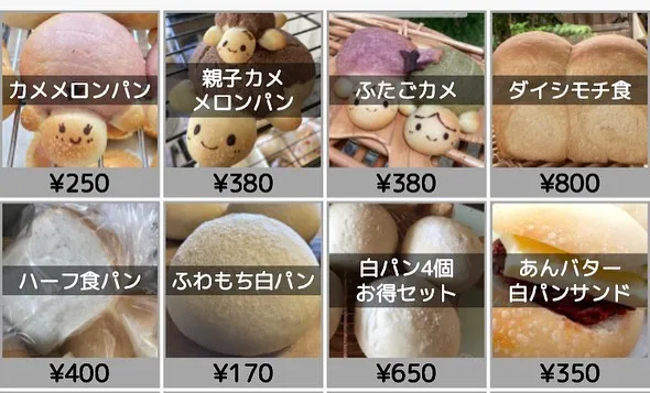 #七夕めぐりプロジェクト  #七夕めぐり　#善通寺　