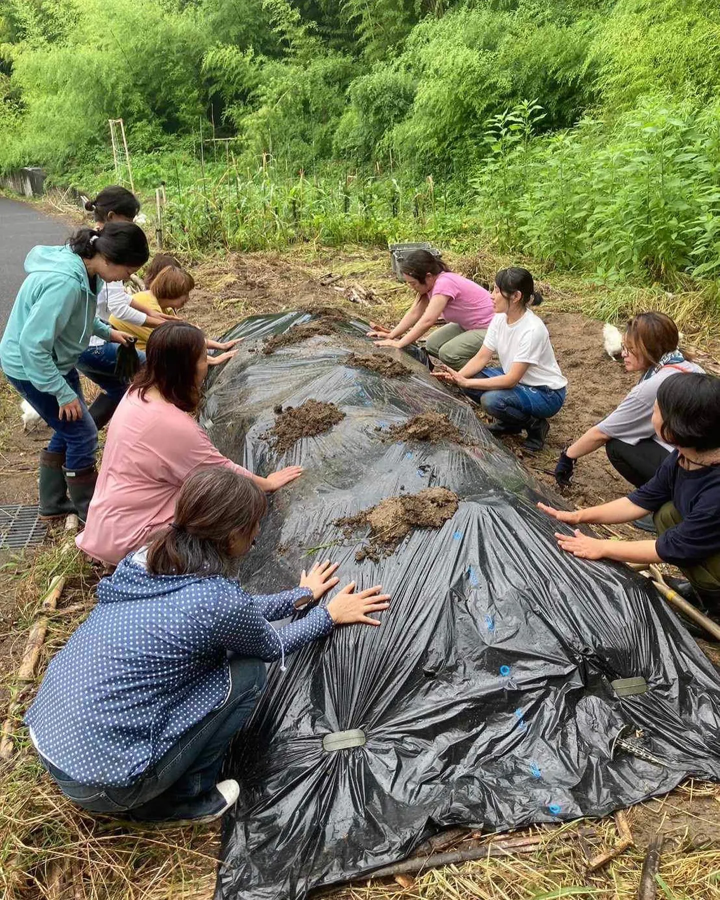 環境を守る土作りに参加して来ました！