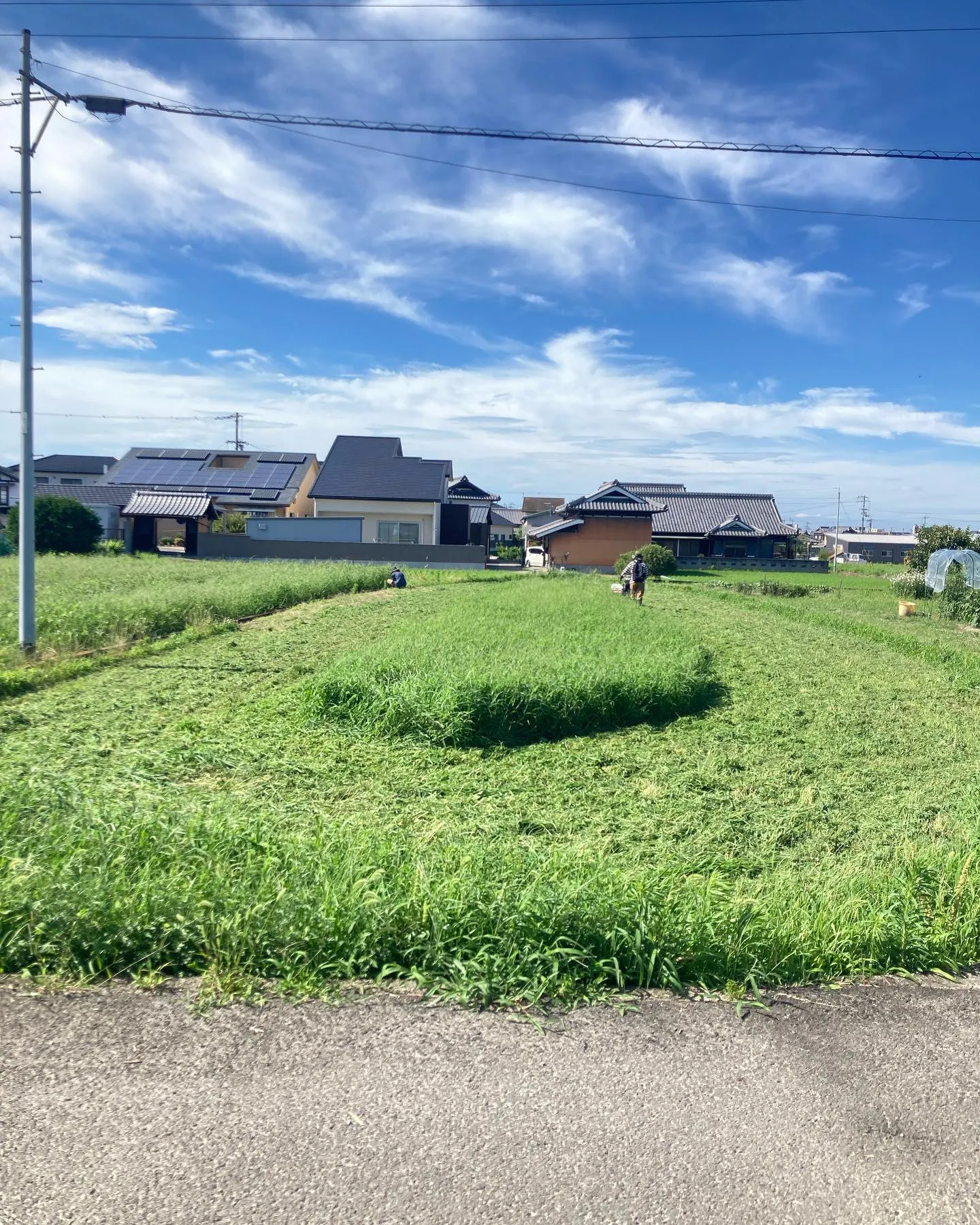 あきこきっちん土づくりの会