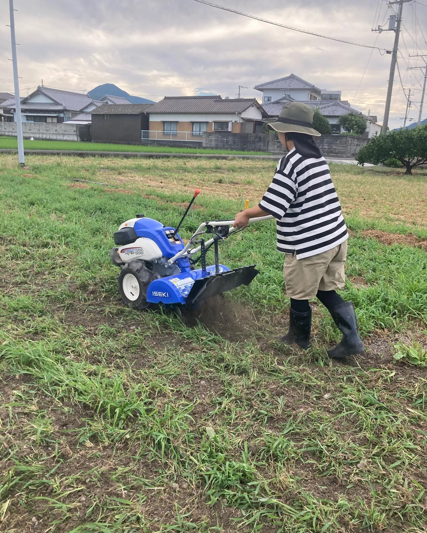 菌ちゃん農法やってみた。