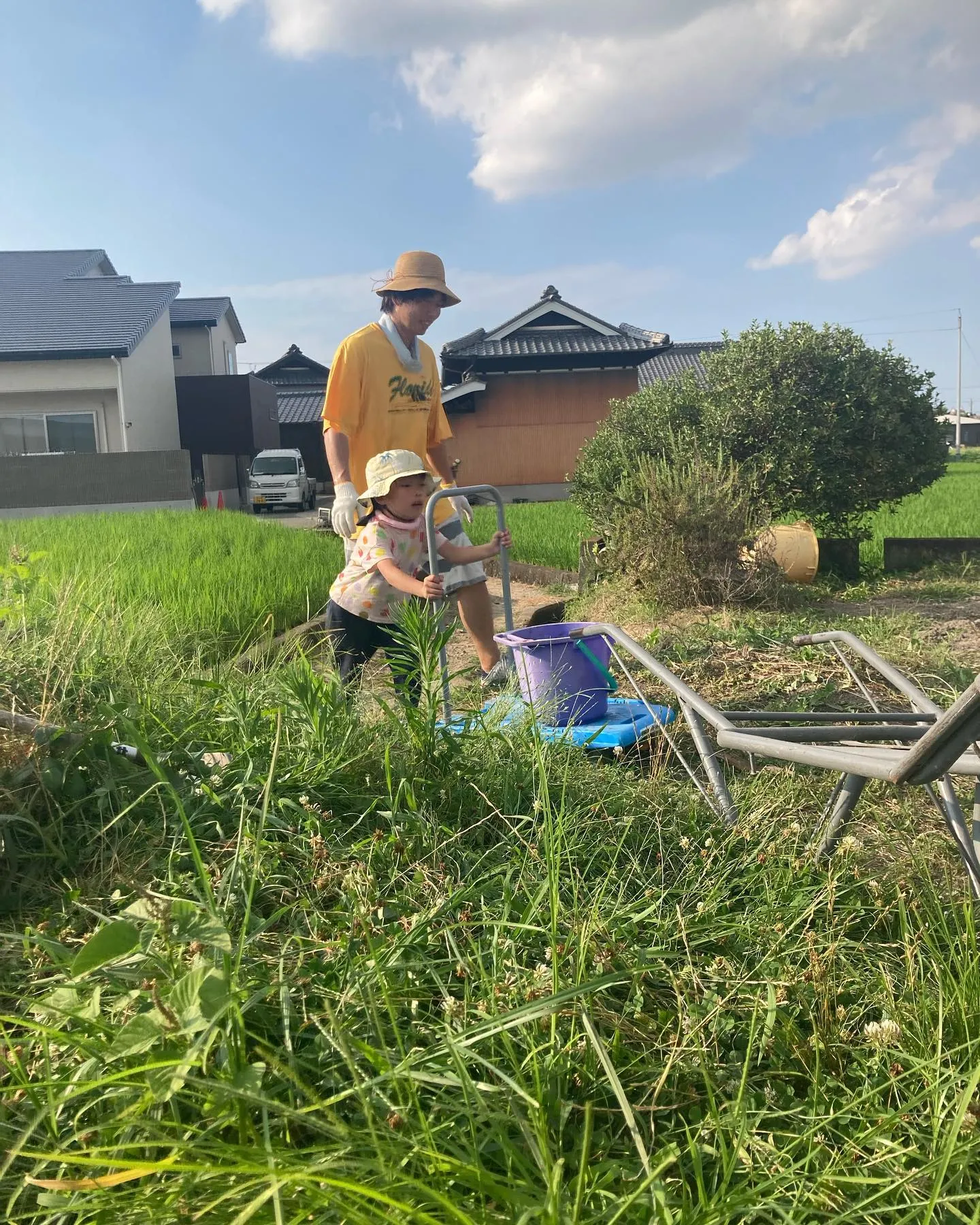 菌ちゃん農法やってみた。