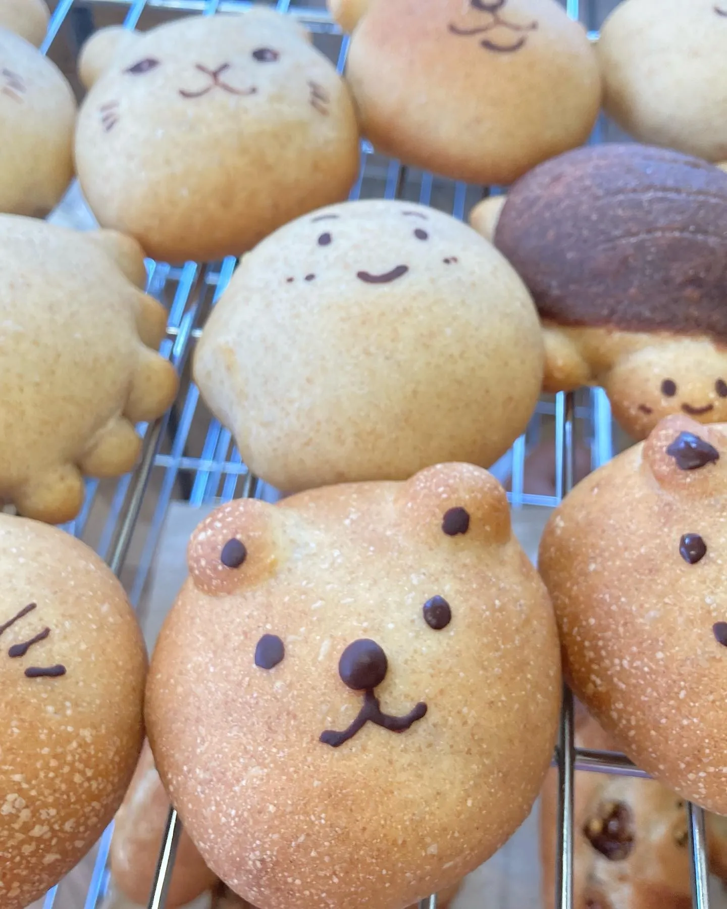 善通寺市偕行社マルシェ　毎日元気に開催されています。