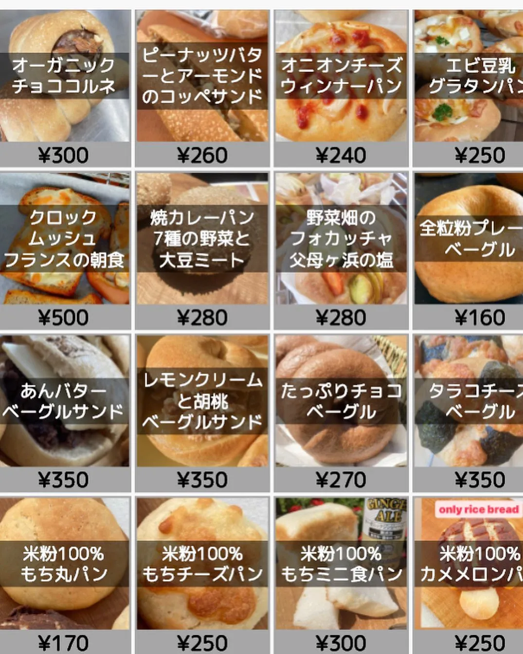 秋になりましたね。