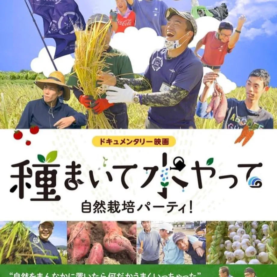 １０月の予定