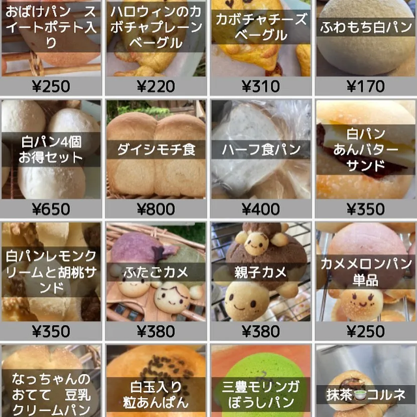 １０月の予定