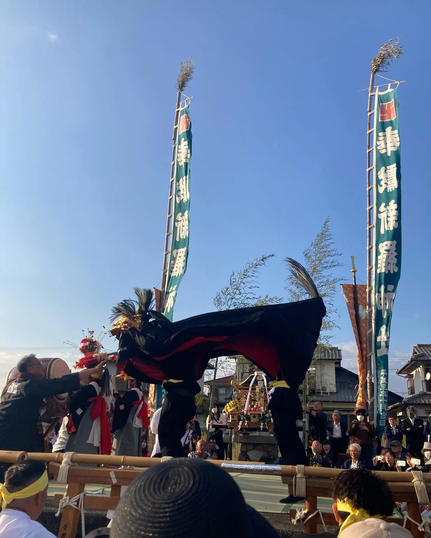 獅子の掛け声大好き！獅子組じゃないから聞くだけやけど、一年で...