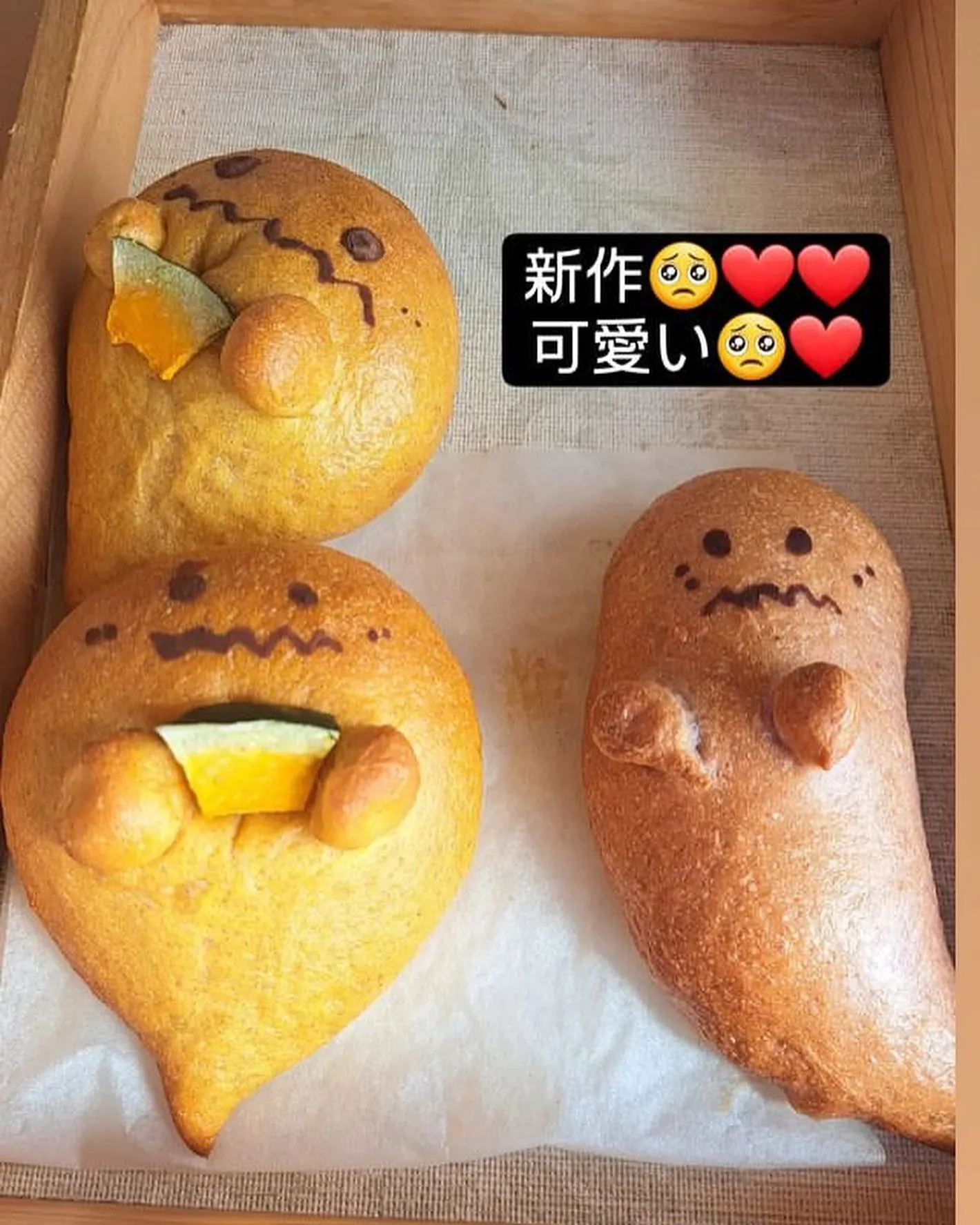 ★空海•ヨーガ チャリティーフェスティバル★ 