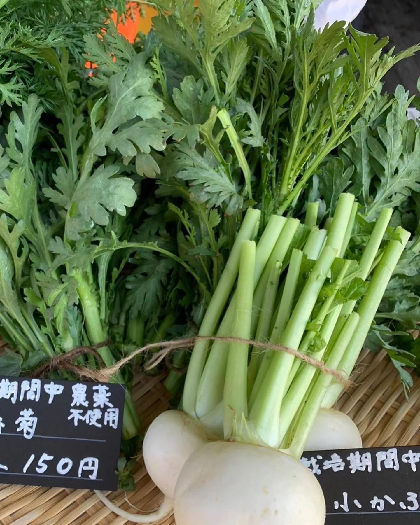 12/9お野菜マルシェの出展者さんのご紹介