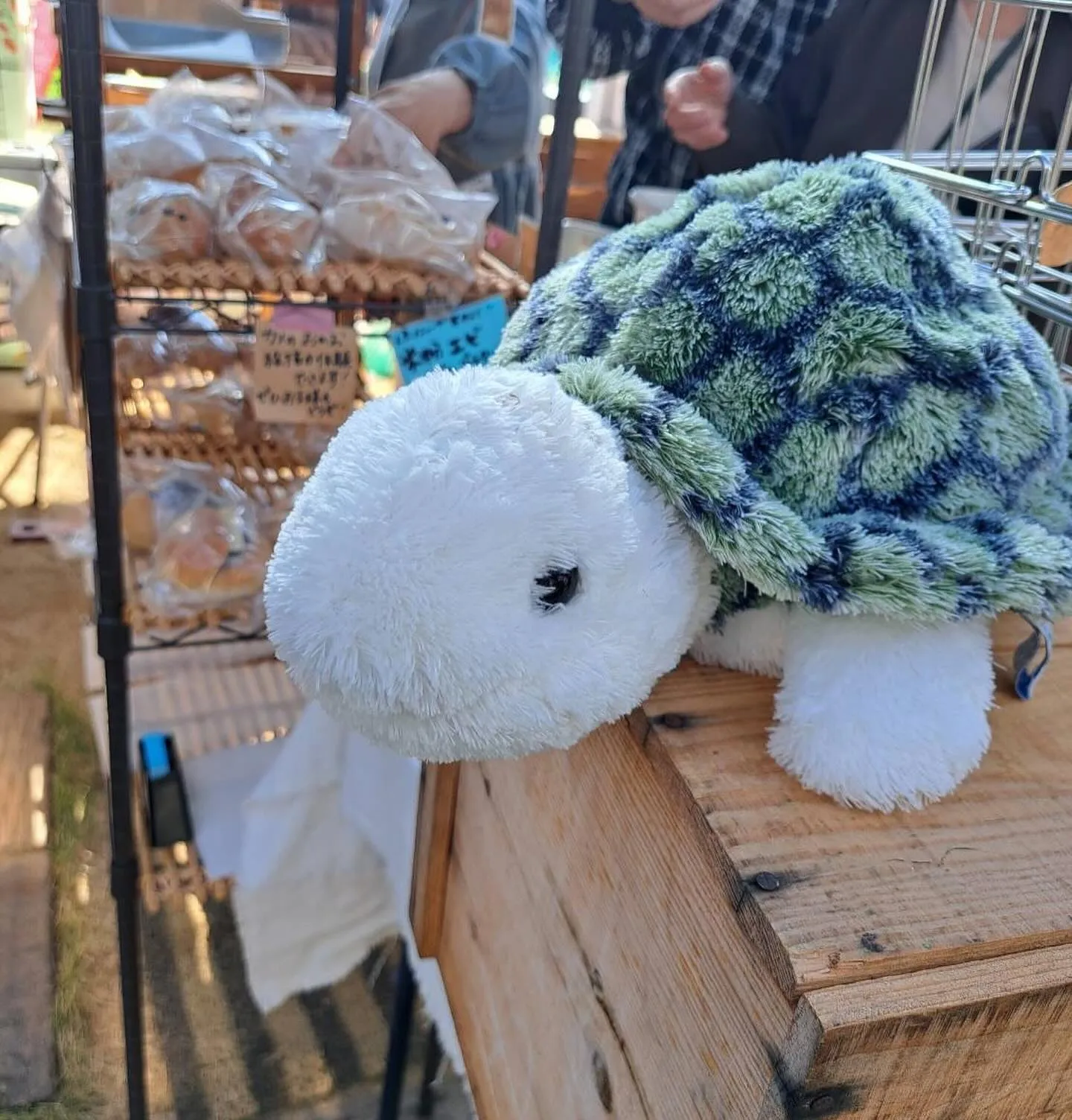 あっ！明日は木曜日！私パン屋だった！