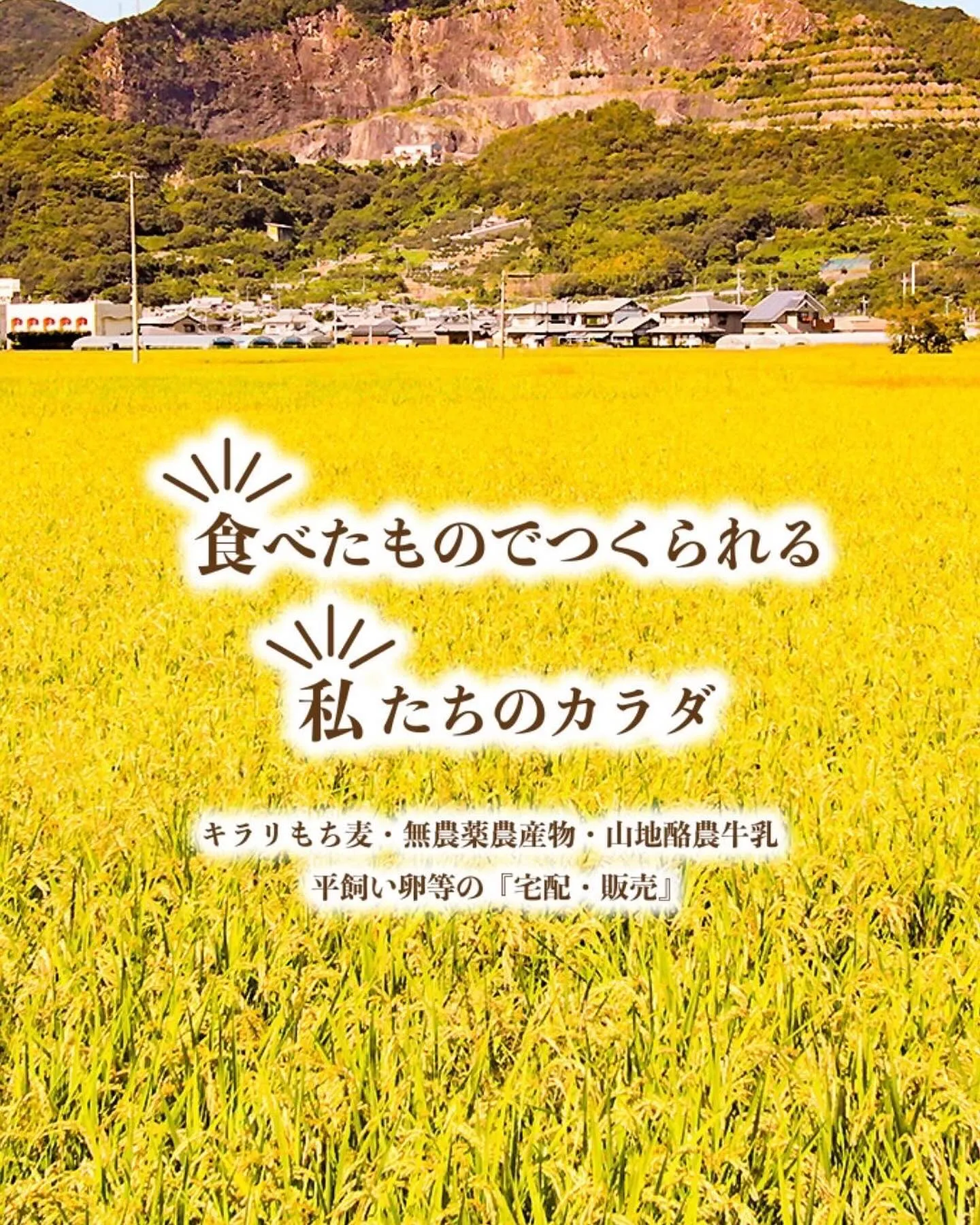 12/9おやさいマルシェ出店者紹介