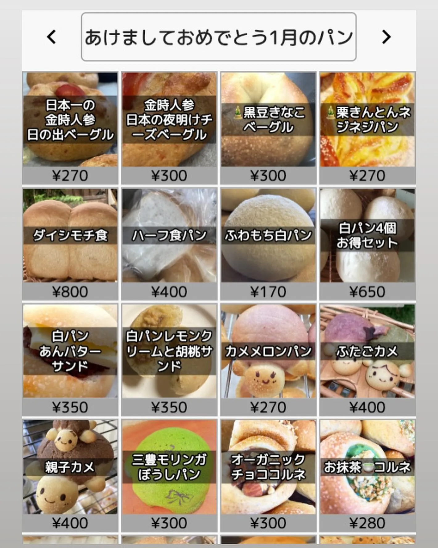 🌅あけましておめでとう御座います