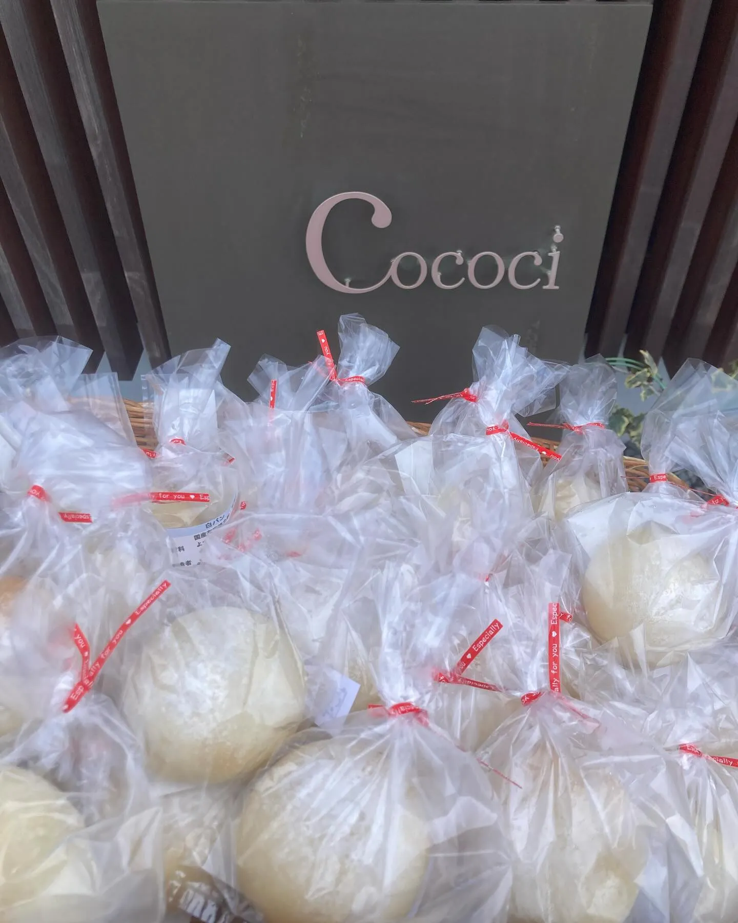 cafe cococi 6周年おめでとう御座います🍾