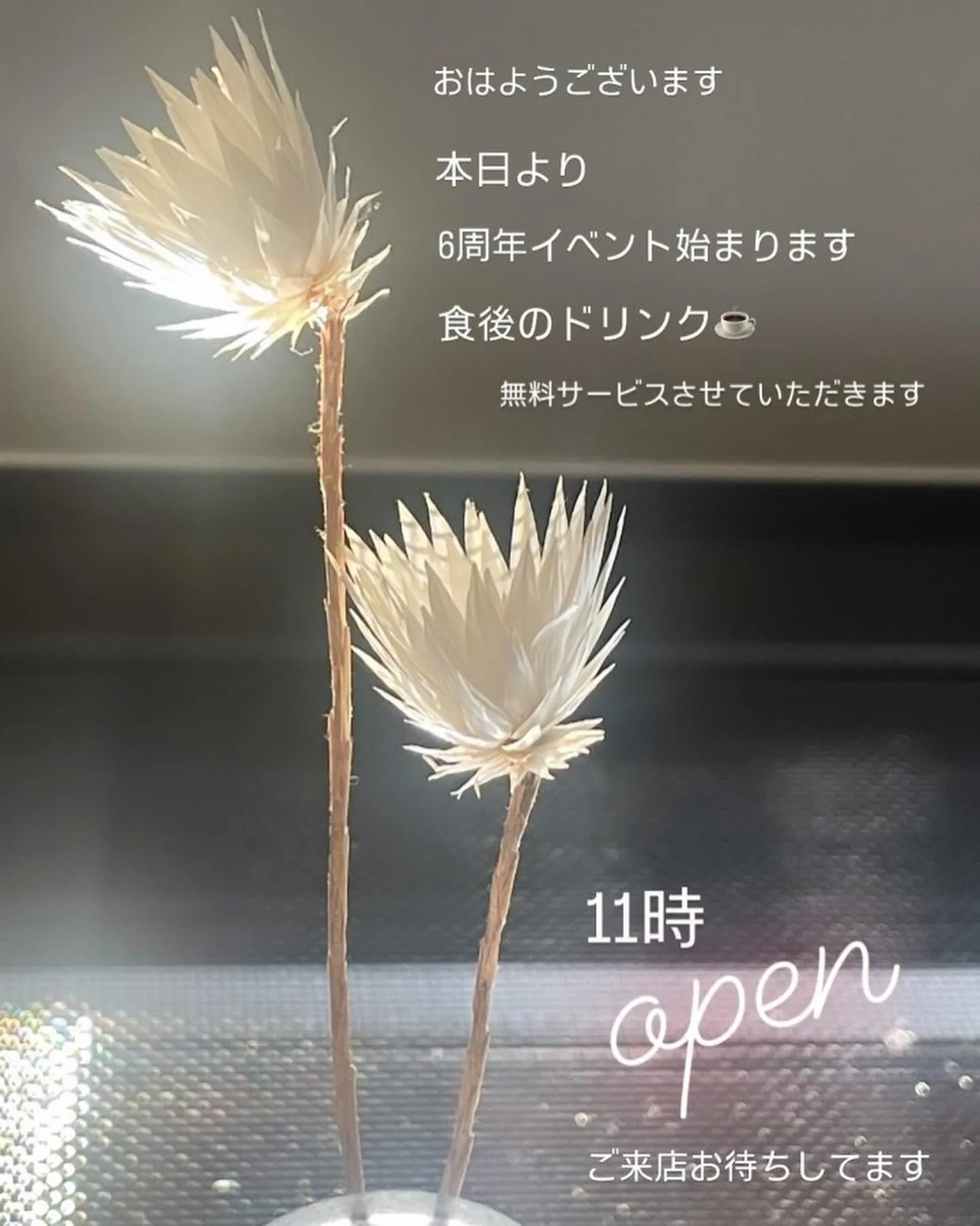 cafe cococi 6周年おめでとう御座います🍾