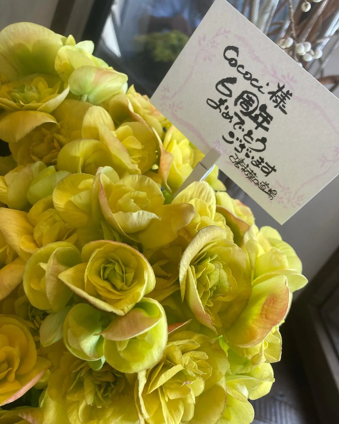 cafe cococi 6周年おめでとう御座います🍾