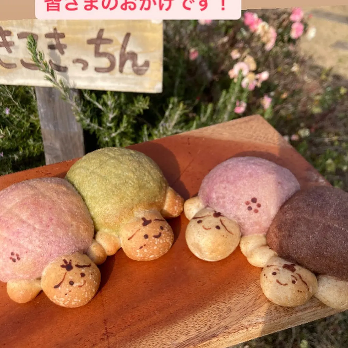 高松であきこきっちんのパンが買える！