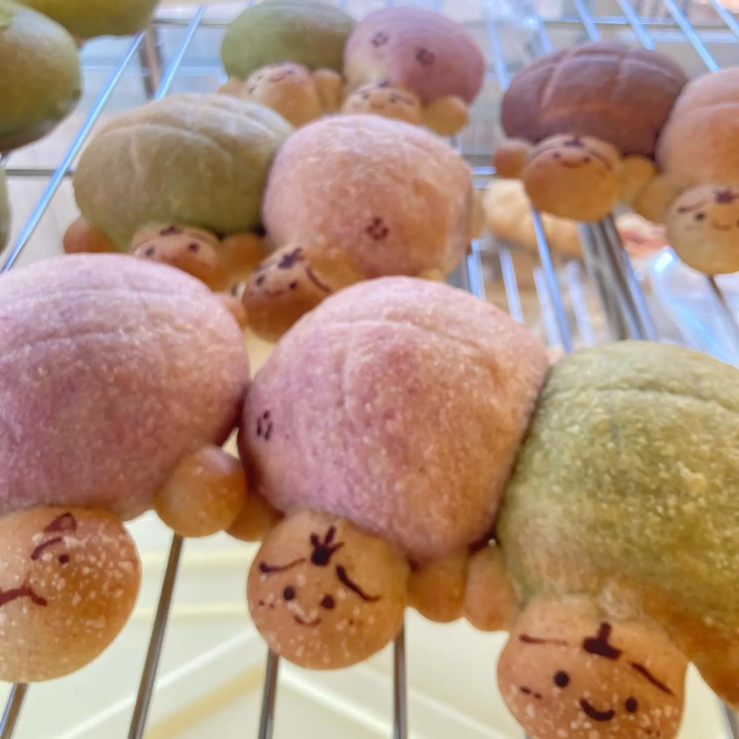 高松であきこきっちんのパンが買える！