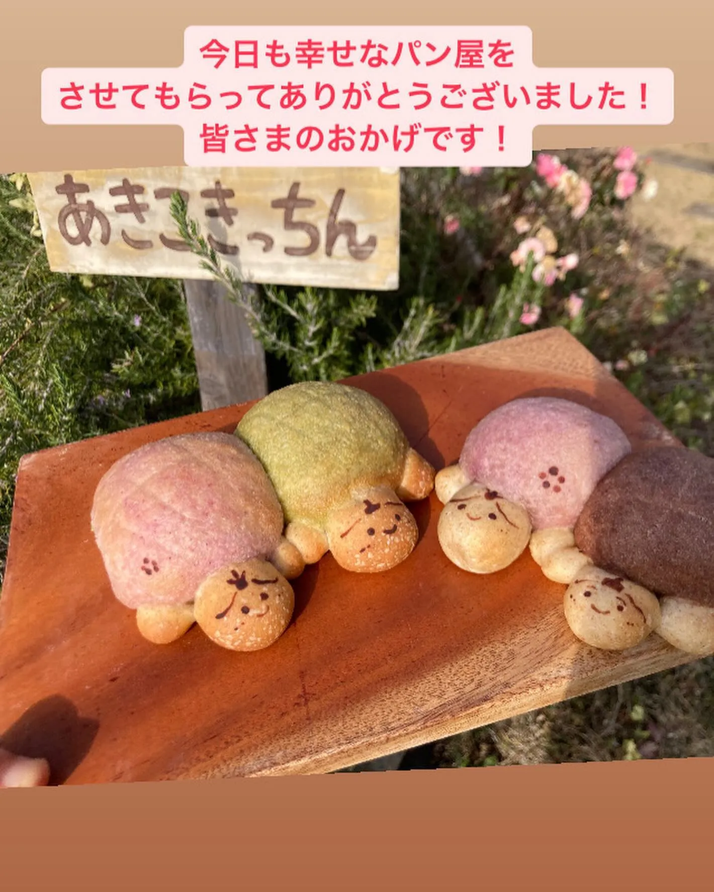 3月3日観音寺サテライトマルシェでひな祭りにぴったりなパンた...