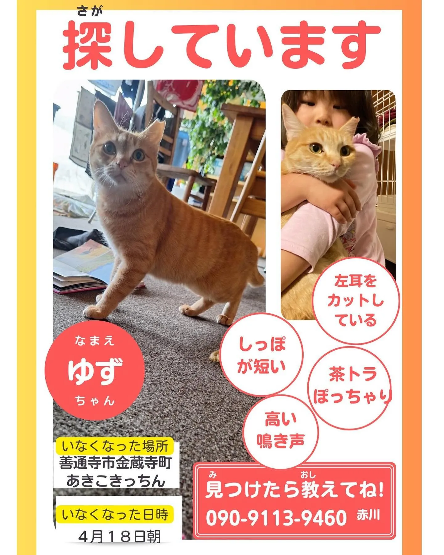 我が家の猫🐈出て行きました！